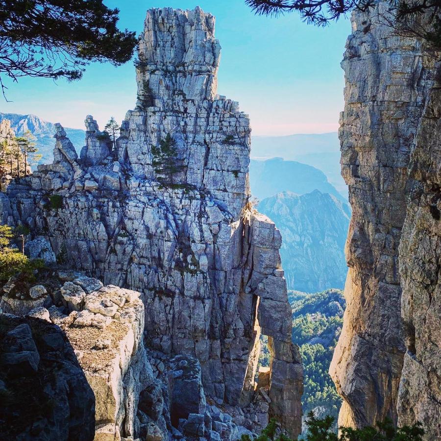 Gite D'Etape Bastide Petra Castellana Verdon Castellane Εξωτερικό φωτογραφία